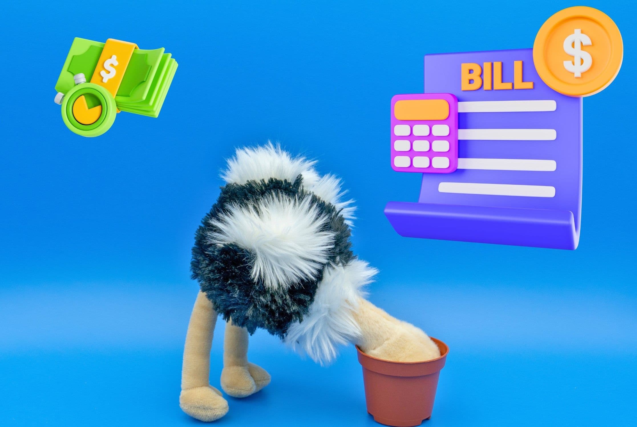 What is the Ostrich Effect