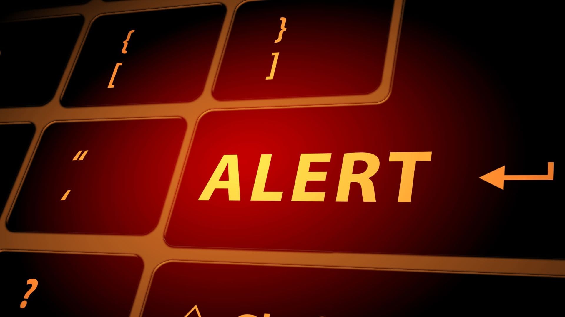 Smart notifications (“You’re overspending on X this month”)